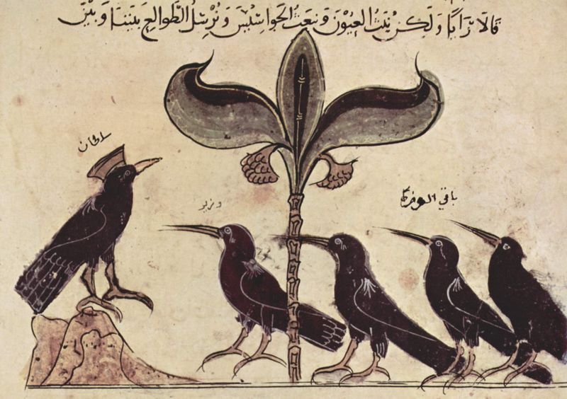 crow1