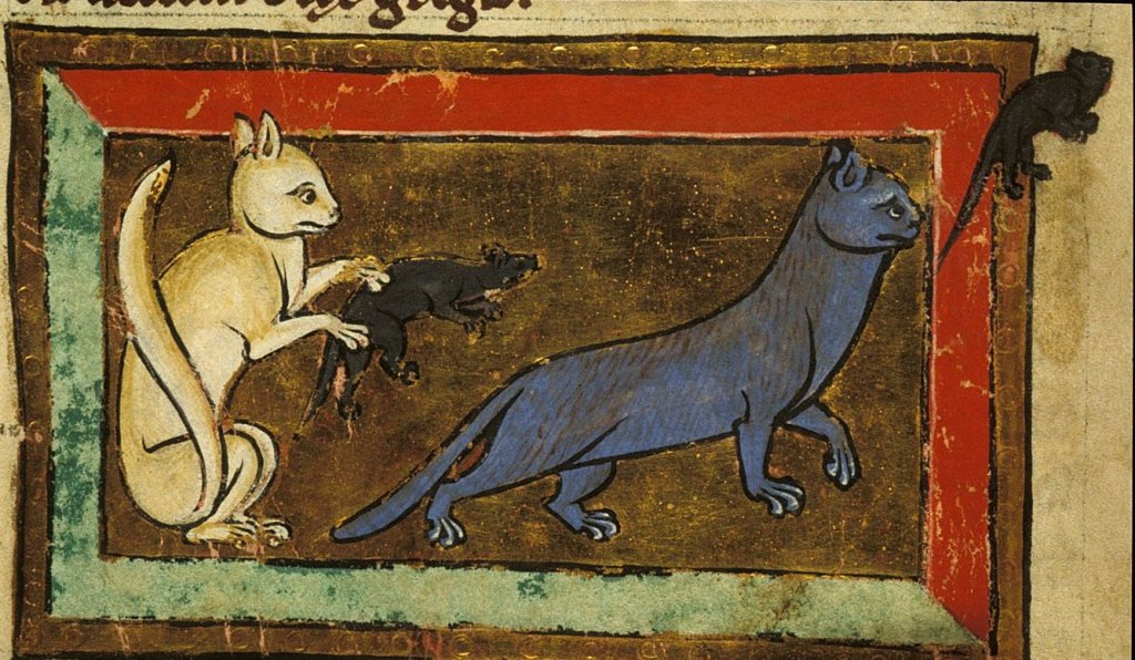 The Enduring Appeal of a Lolcat: Ancient and Medieval Cats as Pets