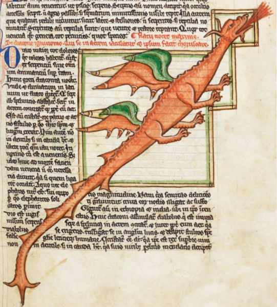 Dragon_Harley_MS_3244