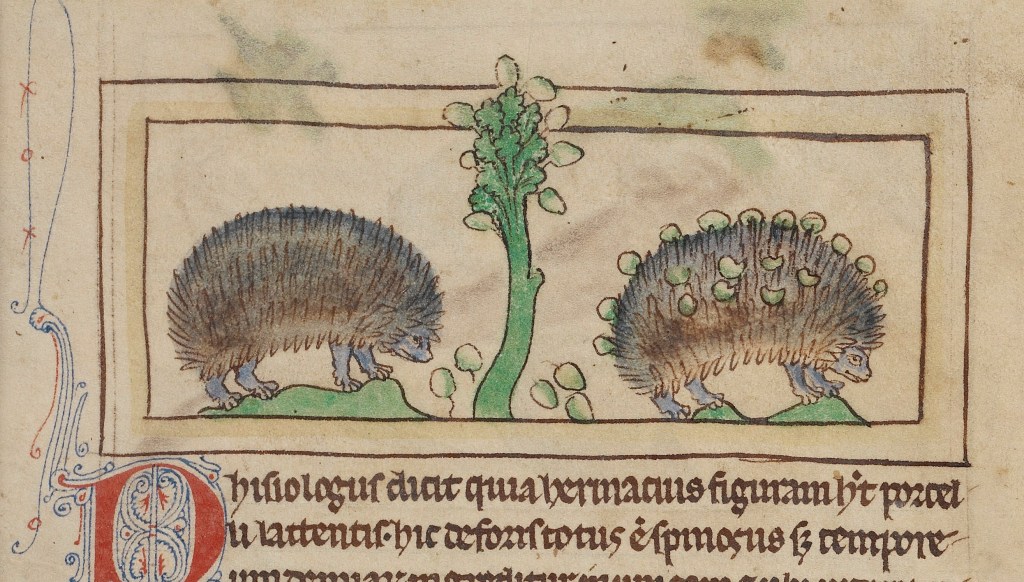 An Interview With: Tess Wingard – Medieval Sexuality and Animals