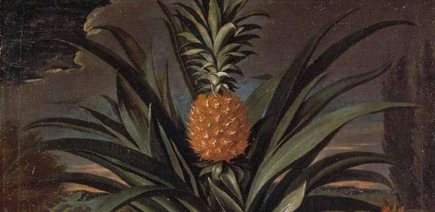When Pineapples Were The Height Of Luxury