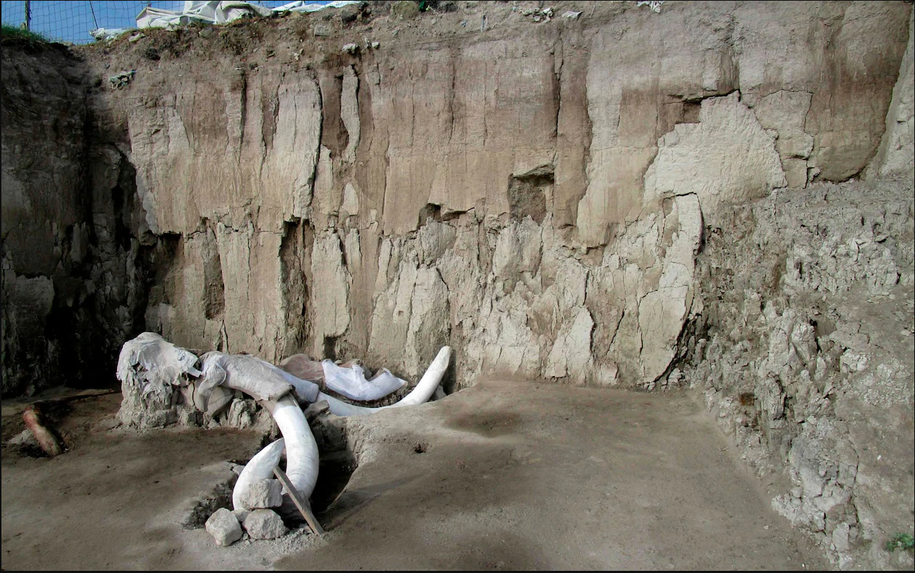 mammoth