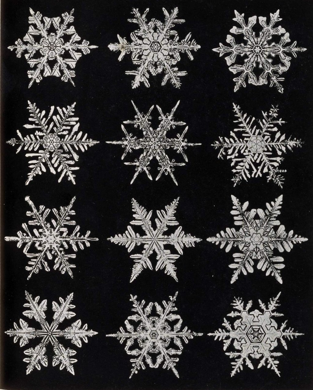 Historical Figures: Wilson Bentley, The Man Who Photographed Snowflakes