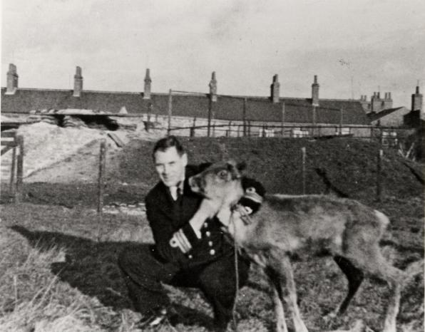 A Brief Moment of History: The WWII Submarine Reindeer