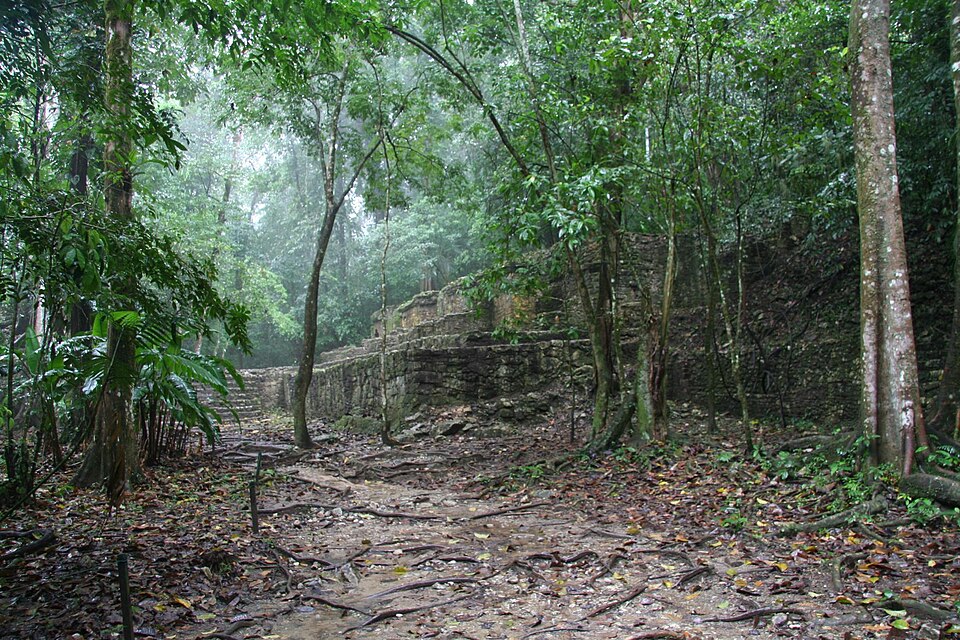 Hidden in Plain Sight: How LiDAR is Revealing Lost Cities